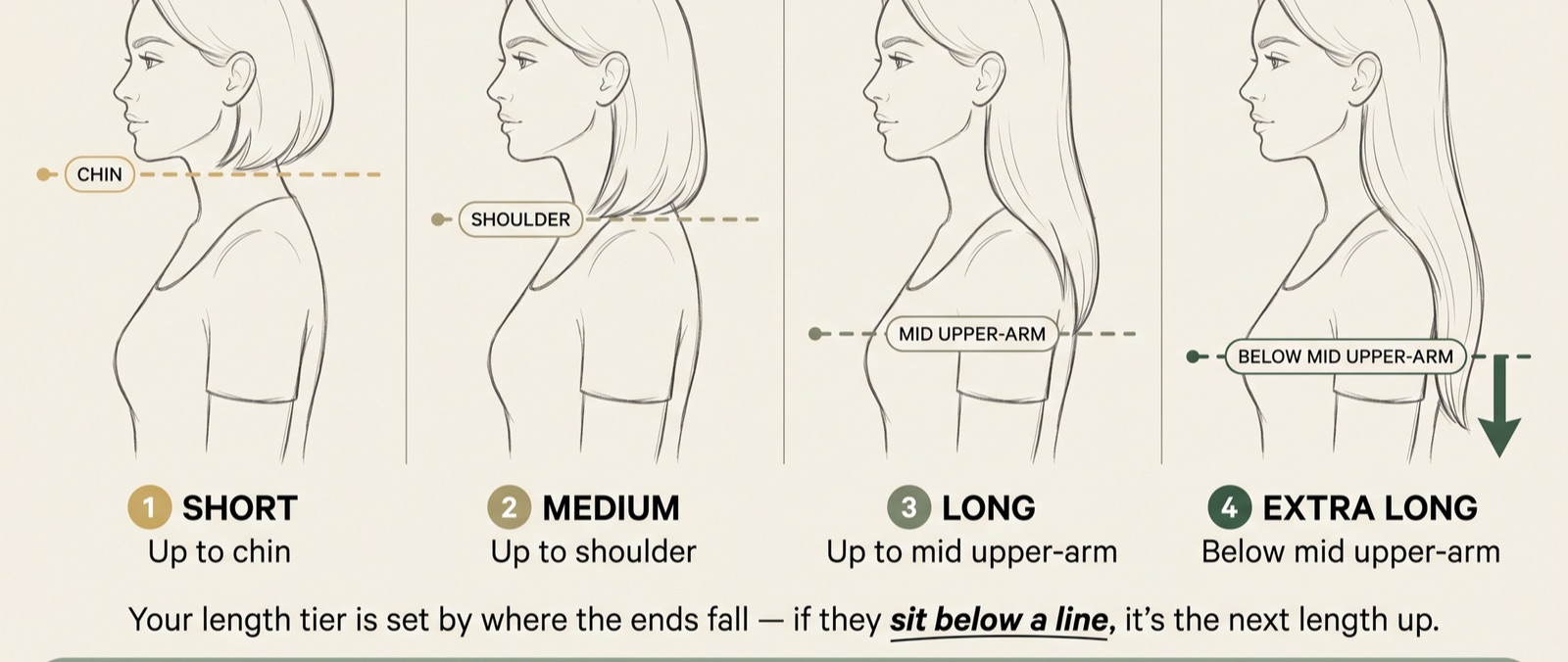 Illustrated salon hair length guide showing short, medium, long and extra long hair measured at the chin, shoulder and mid upper-arm